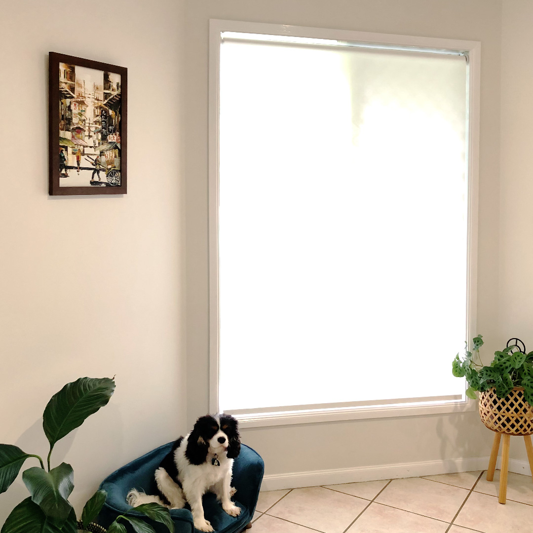 White light filter roller blind in an open space living room, with lots of natural light.